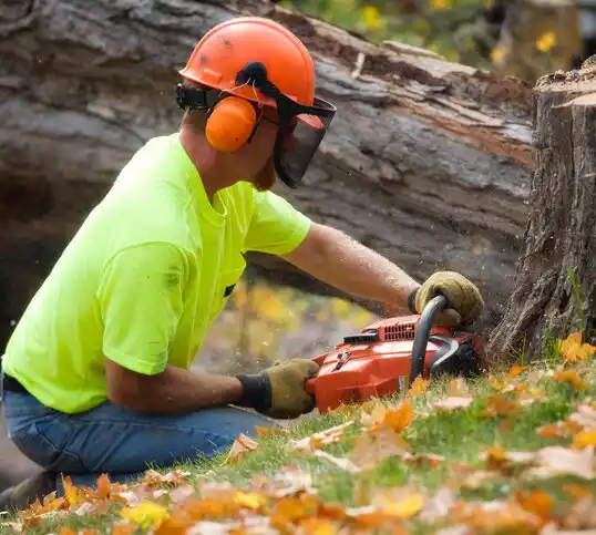 tree services Whitley City